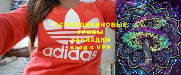 винт Алзамай