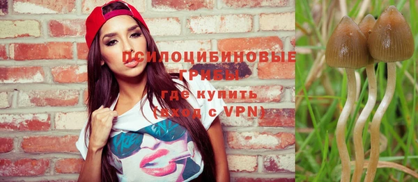 винт Алзамай
