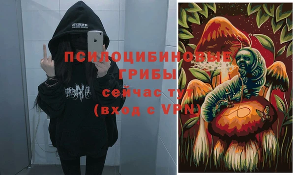 хмурый Липки