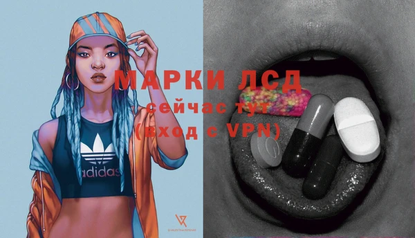 хмурый Липки